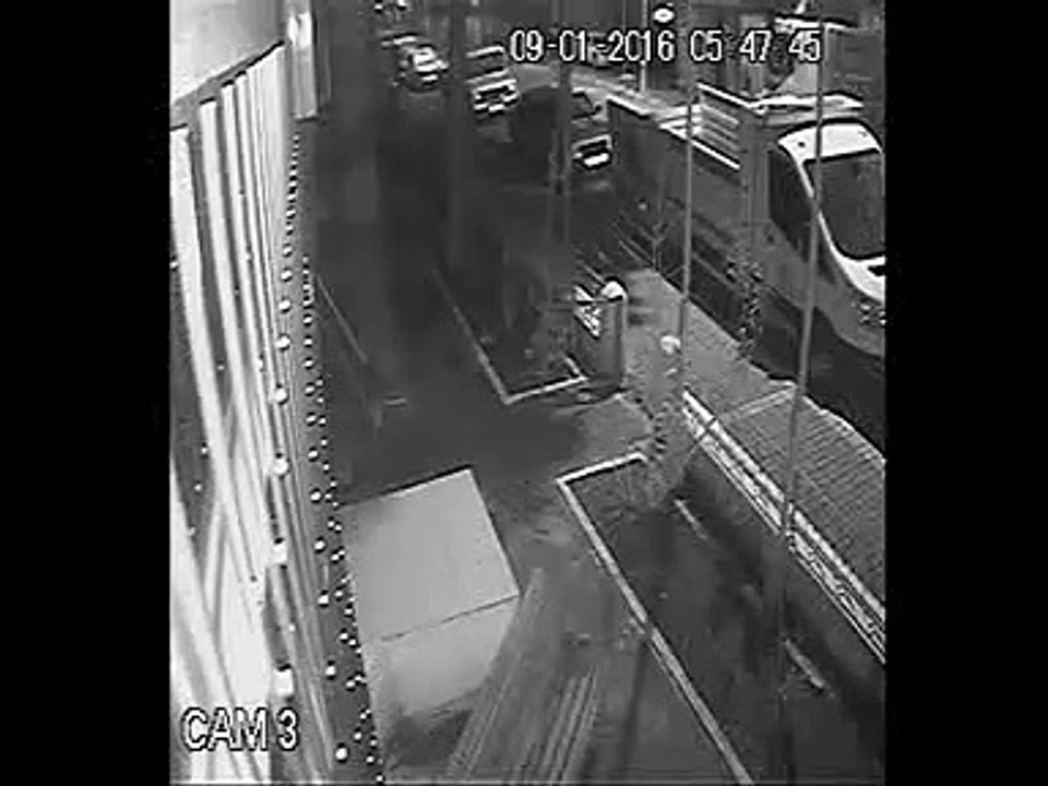 video-1453881003.mp4 (1)