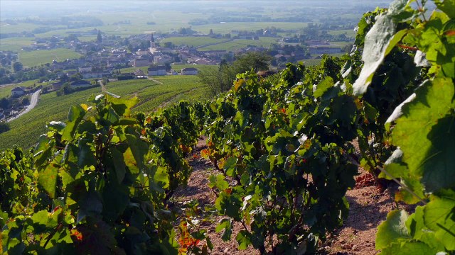 Instant Beaujolais - AOC Fleurie