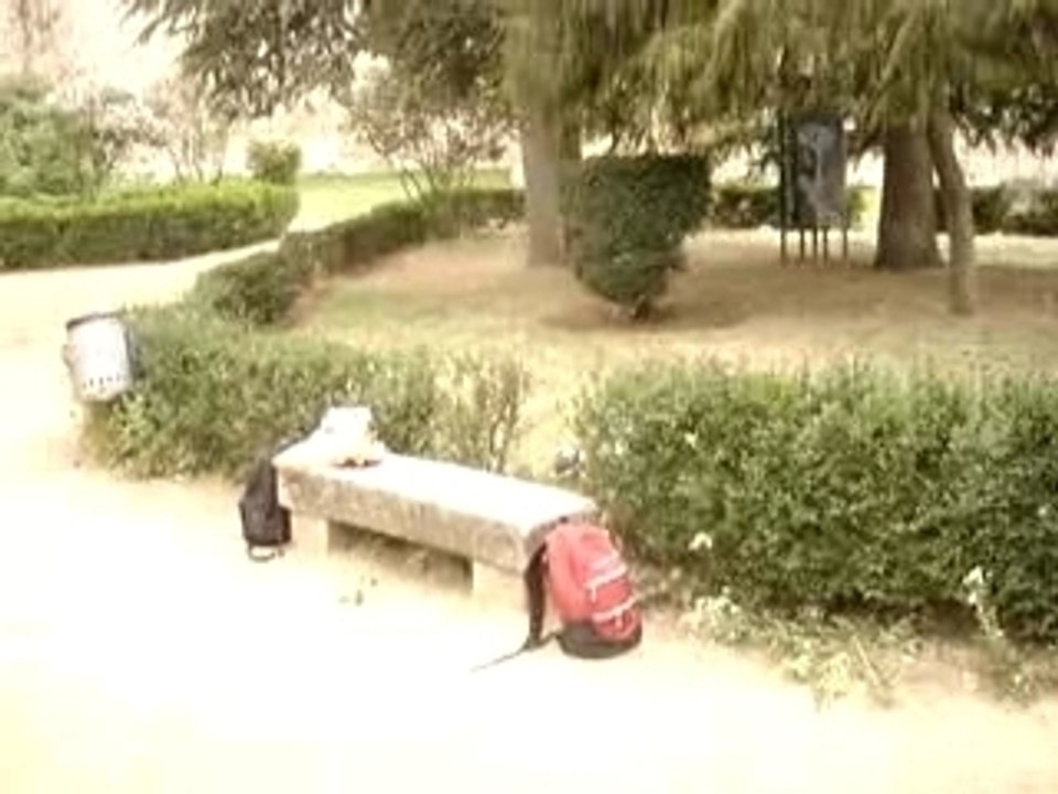 Les gamelles debilosses