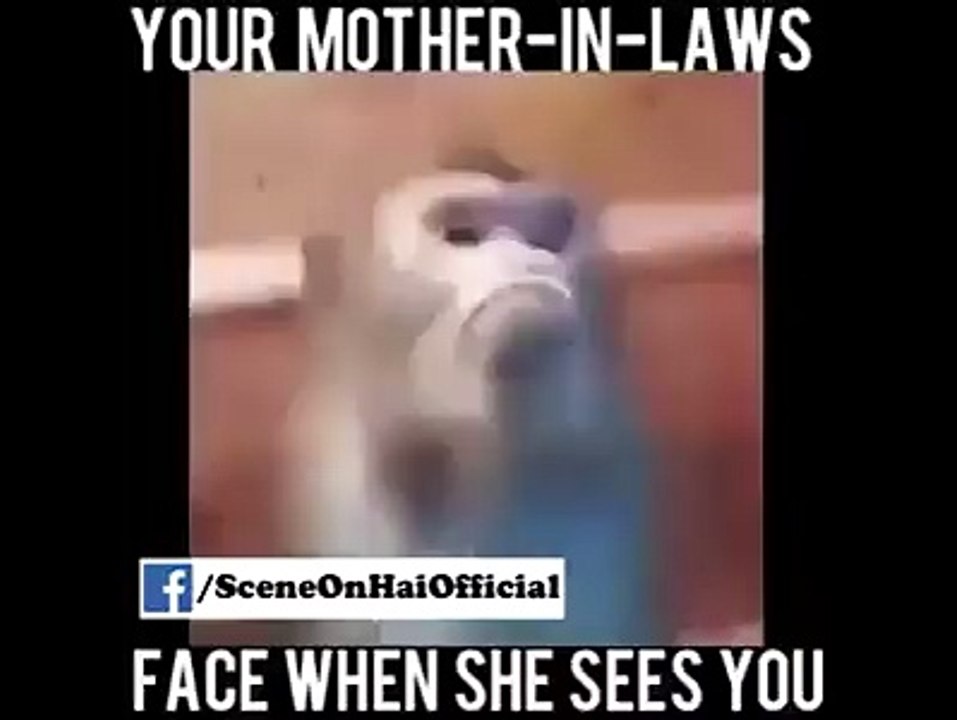 Mother In Law Response When She Saw you
