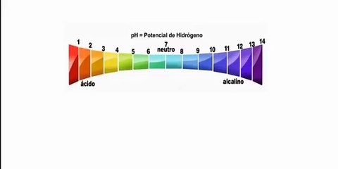 Dieta Alcalina  -  Descubra os segredos para Perder Peso   Prevenir e Tratar Doenças ...