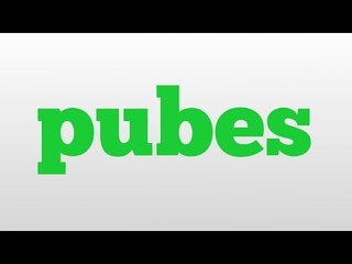 pubes meaning and pronunciation
