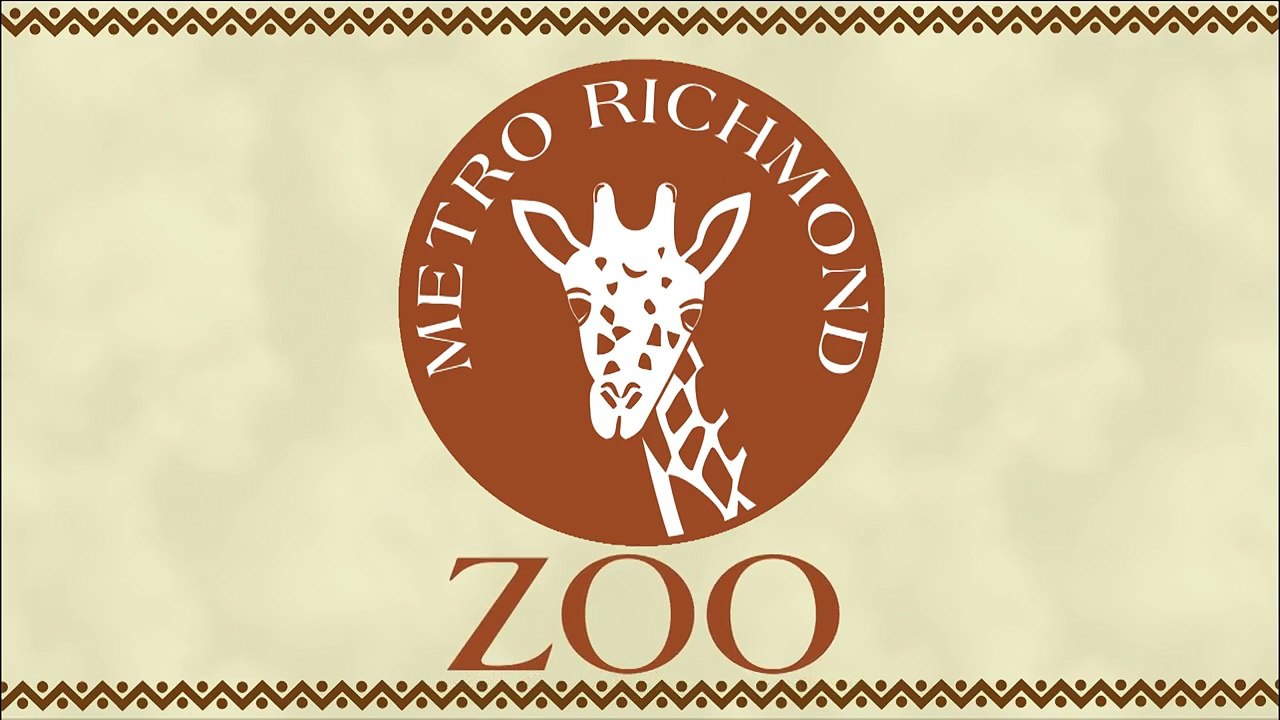 Un guepard et un chien jouent dans la neige