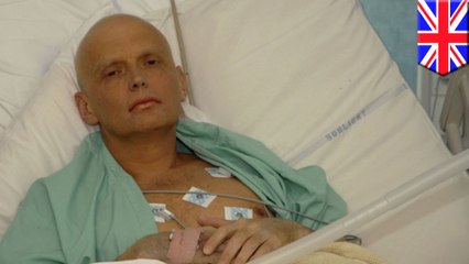 プーチン大統領「暗殺」承認か?