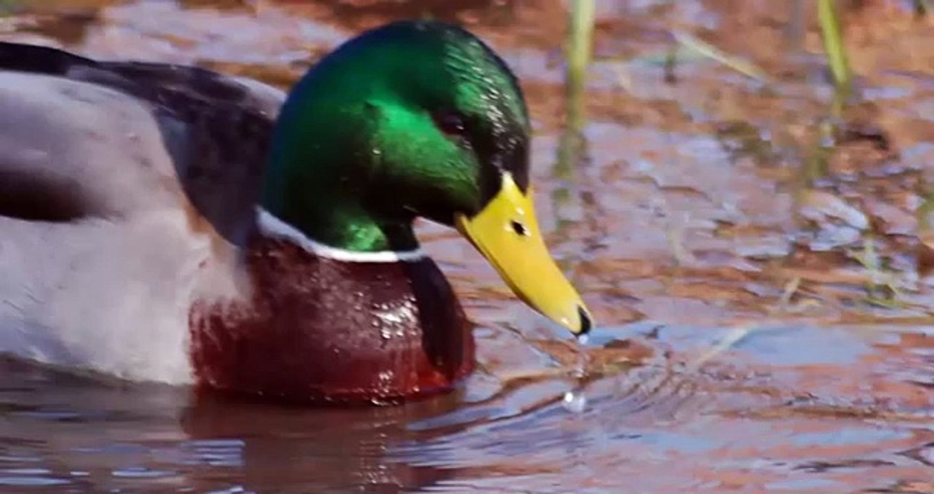 Photography Masterclass Learn Digital Photography The Smart