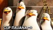 I Pinguini di Madagascar Clip ufficiale italiana 'Il giro del mondo' (2014) HD
