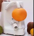 Orange Skin Peeler - Orange Skin Peeling Machine
