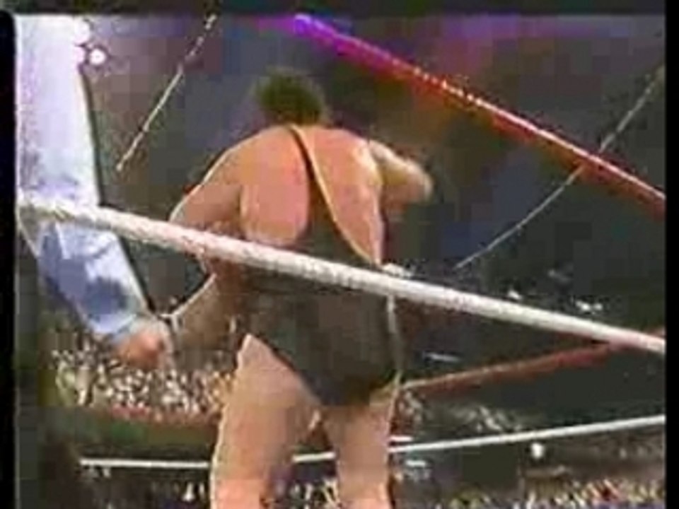 Wrestle Mania IV Turnier