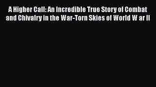 A Higher Call: An Incredible True Story of Combat and Chivalry in the War-Torn Skies of World