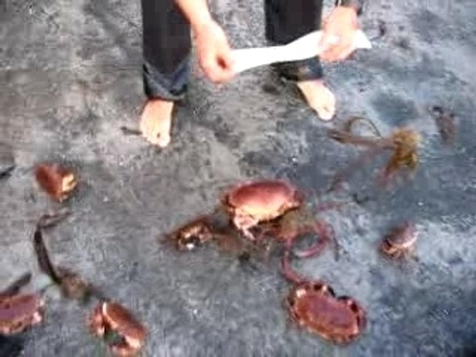 Pêche 03