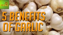 Best 5 Health Benefits Of Garlic | Care TV