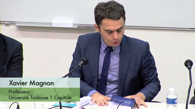 IEJUC-SFDE_ Le droit d'accès à la justice en matière d'environnement -03- L'accès à la justice dans la théorie générale du droit , Xavier Magnon, Professeur, Université Toulouse 1 Capitole