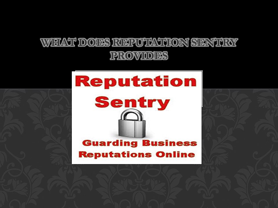 What does reputation sentry provides