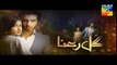 Gul e Rana Promo Trailer l Sajjal Ali Upcoming Hum TV drama (Teaser)