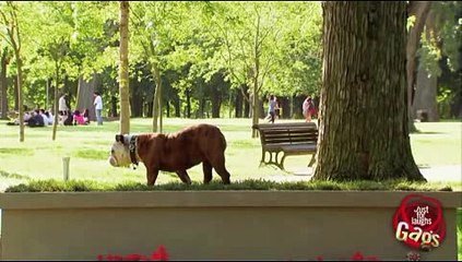 장안오피 OP추천 수원건마［udaiso03．cＯm］마포오피 み 송탄오피