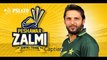 Peshawar Zalmi Players - PSL 2016 - Pakistan Super League