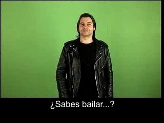 Casting perro andaluz