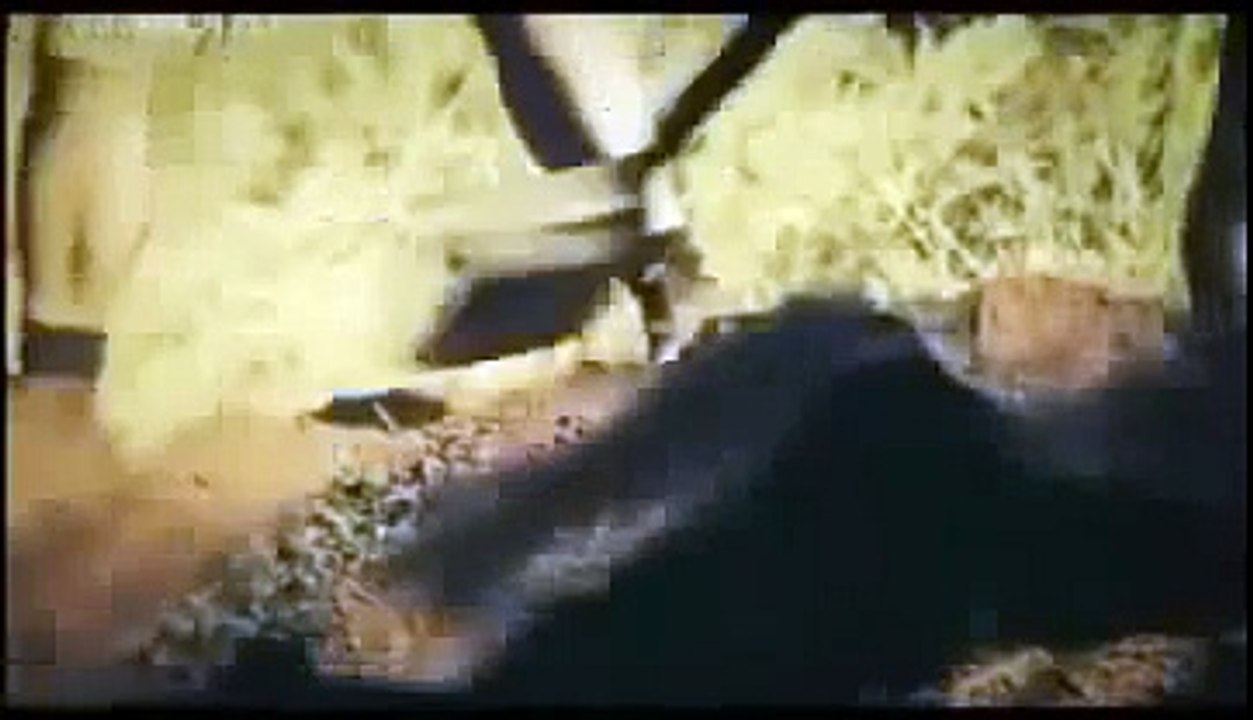 Australian Psycho Killer Serial Killer John Justin Bunting