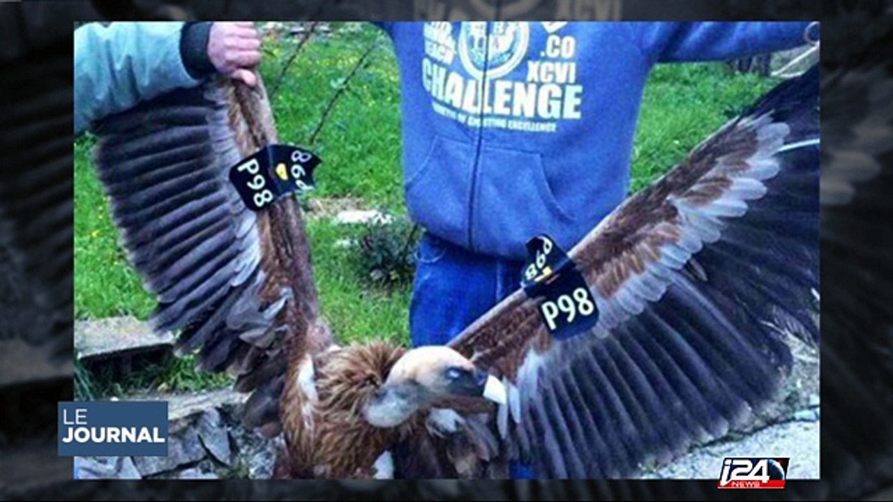 Des aigles israéliens espions?