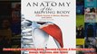 Download PDF  Anatomy of the Moving Body Second Edition A Basic Course in Bones Muscles and Joints FULL FREE
