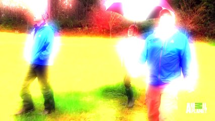 Mochi the Daredevil Gets a Tree-Climbing Lesson