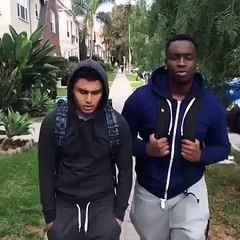 Bull Dog Kicking Ass Of Two Young Guys   Whatsapp Videos