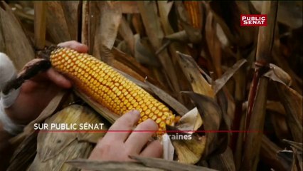 Documentaire - La guerre des graines - la bande-annonce