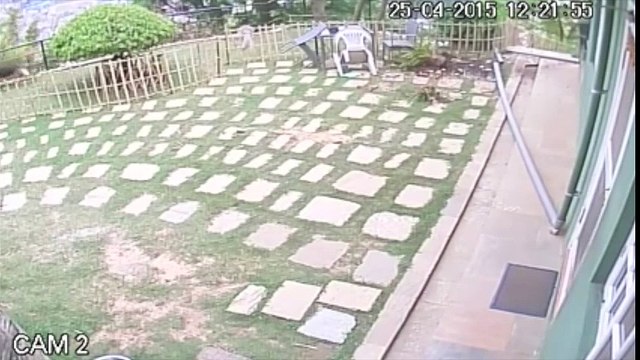 2015 Nepal Earthquake Caught On Camera! CCTV Footage! Historical Earthquakes