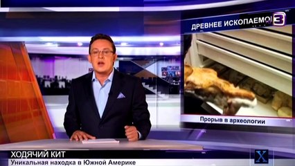 Доисторический кит умеющий ходить по суше