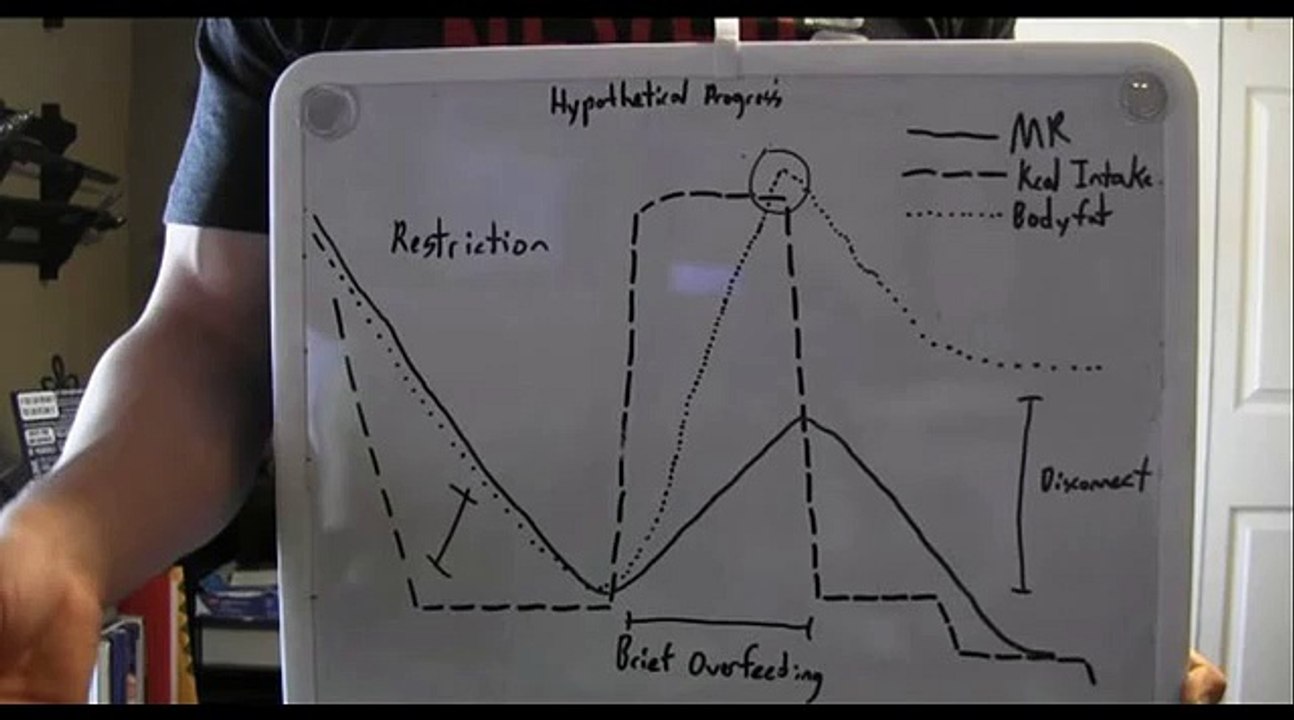 PFTR1121 - Assignment 2 Reverse Dieting