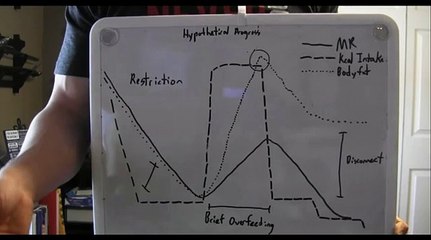 PFTR1121 - Assignment 2 Reverse Dieting