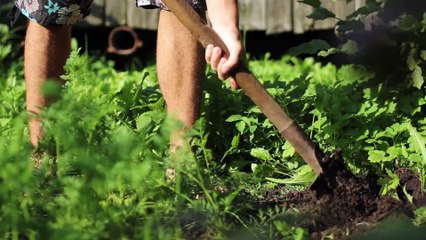 Мотивация к спорту - добейся успеха сам!⁄Sport motivation