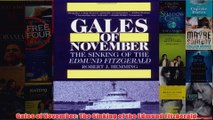 Download PDF  Gales of November The Sinking of the Edmund Fitzgerald FULL FREE