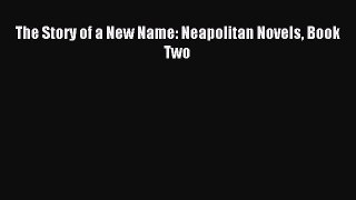 (PDF Download) The Story of a New Name: Neapolitan Novels Book Two Read Online