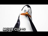 Penguins of Madagascar MOVIE CLIP - Meet Kowalski (2014) HD