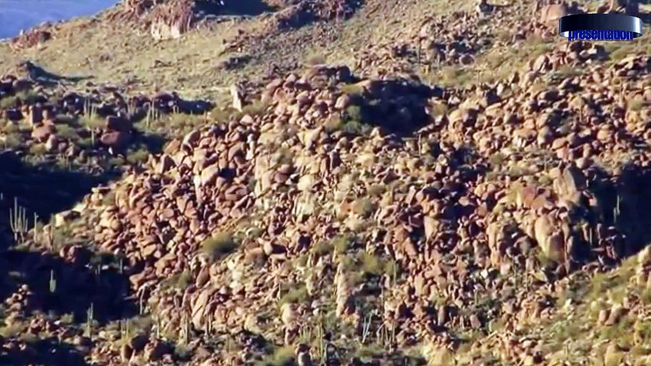 আল্লাহ তুমি অপরূপ- Bangla Islamic song (hamd)