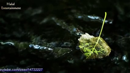 আমার যেদিন মরণ হবে- Bangla Islamic song