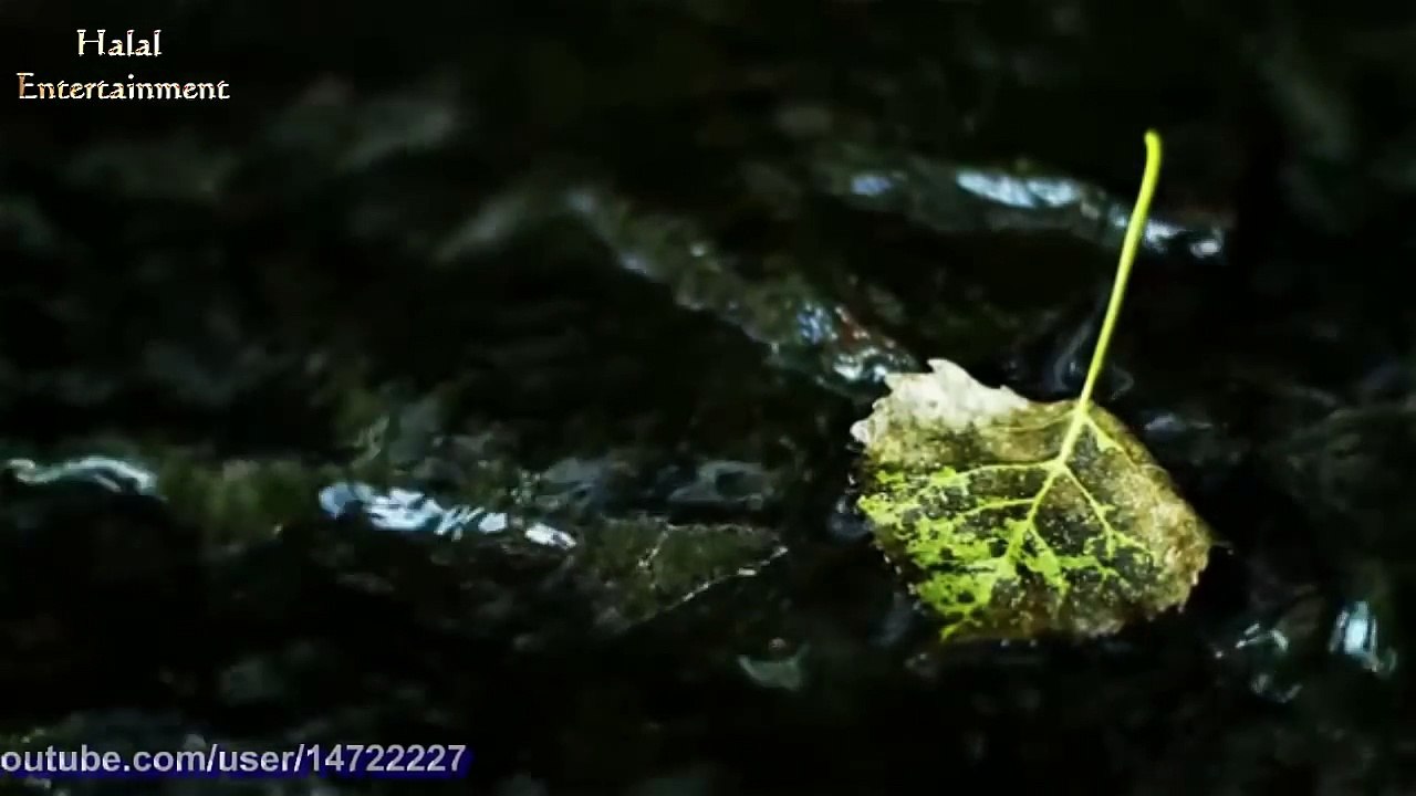 আমার যেদিন মরণ হবে- Bangla Islamic song
