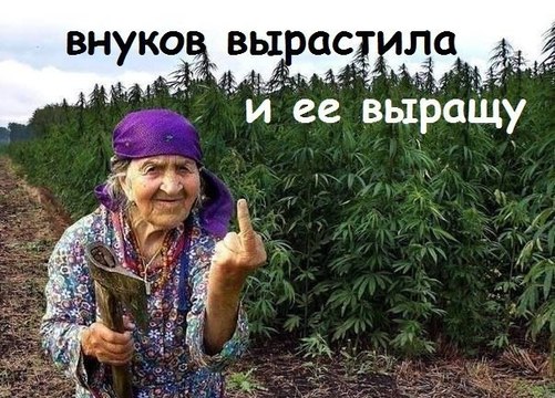 А У ВАС КОНОПЛЯ ЕСТЬ СМЕШНОЙ ПРИКОЛ ПО ТЕЛЕФОНУ