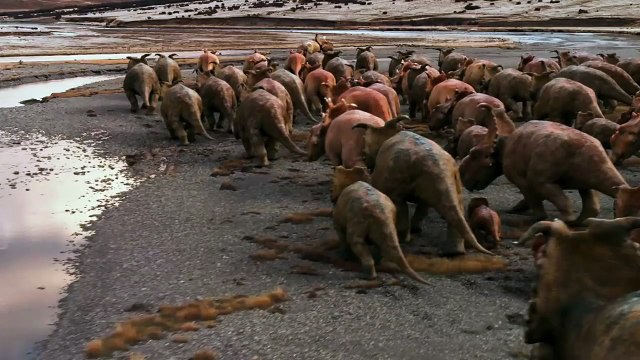 Walking With Dinosaurs Dino Files Dino Discoveries 20th Century FOX