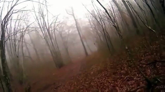 прикол! ОХОТА на кабана