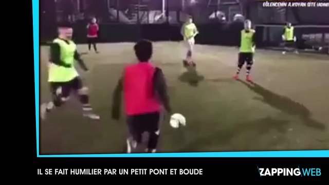 Une chienne héroïque sauve son petit chiot de la noyade (vidéo)