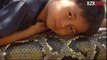 Python Snake Pet - Kid Rides Giant Python