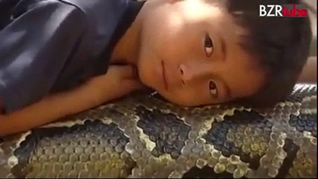 Python Snake Pet - Kid Rides Giant Python