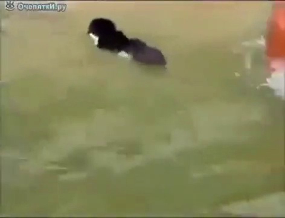 Прикол
