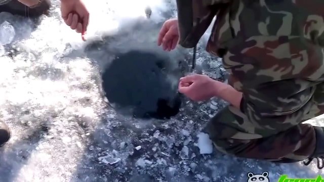 Рыбаки зимой поймали огромную рыбу зубами россия