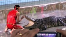 Animal attack: Aligator want to bite man\'s head