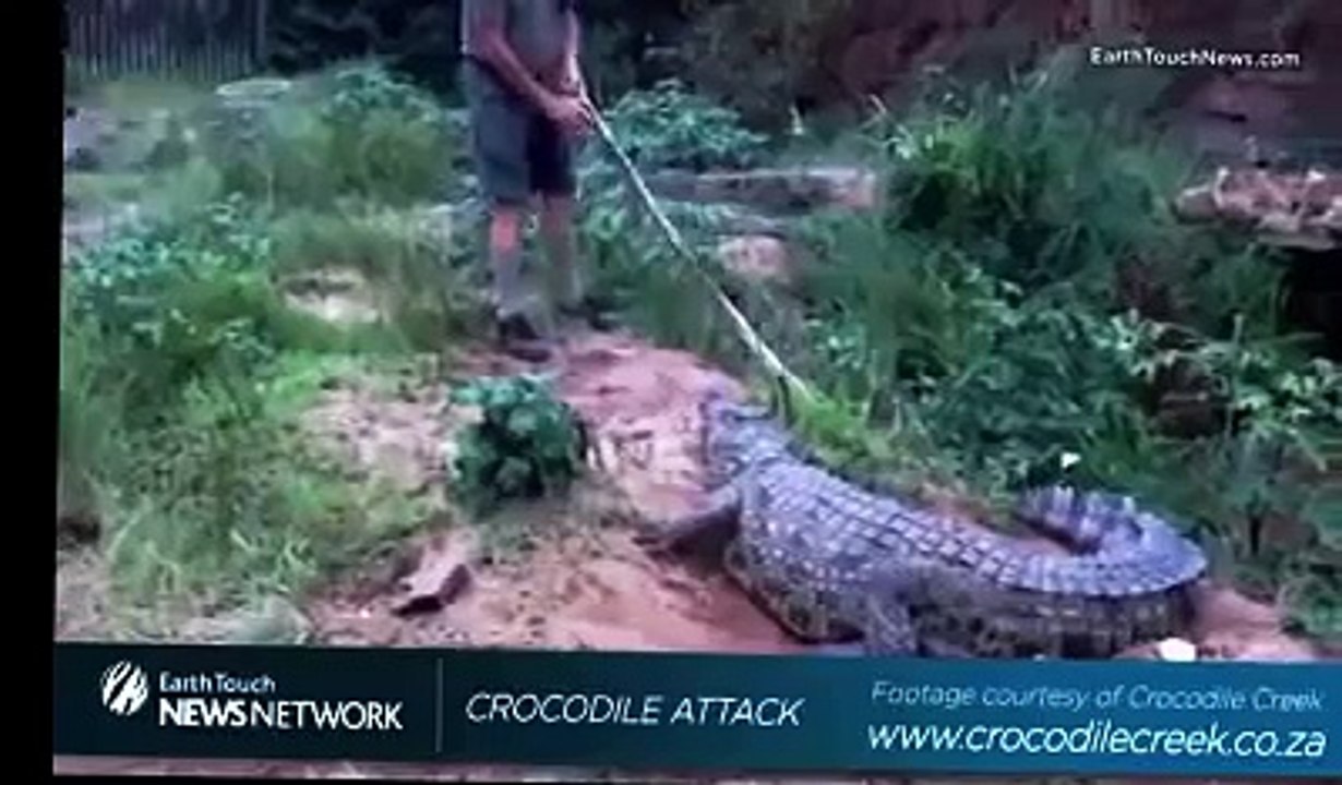 7 Crocodile attacks on human compilation.