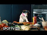 Pongo il cane milionario Spot Tv 30'' (2014) - Eloy Azorín, Manuel Baqueiro Movie HD