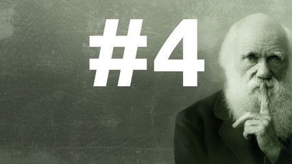 SLEDD #4 du 25 Septembre 2010, Nos émotions